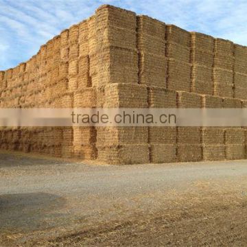 wheat straw hay, hay straw bale, wheat hay bale, straw hay bale, animal filler straw