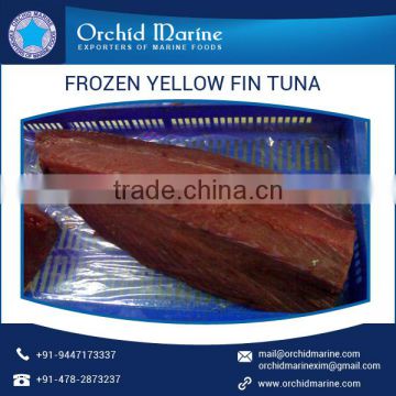 Frozen Delicious/ Healthy Whole Round Yellowfin Tuna in Eco Friendly Packaging