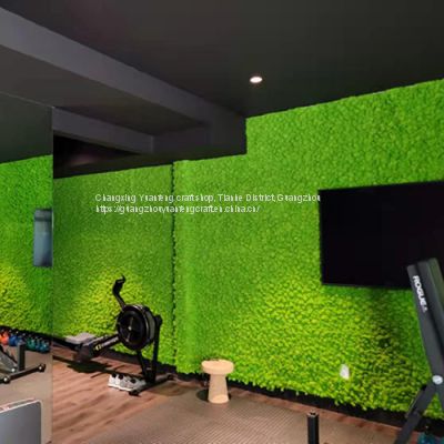 Factory wholesale high quality Interior office artificial reindeer moss panel wall decoration