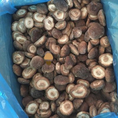 IQF Frozen Shiitake Mushroom Lentinus Edodes