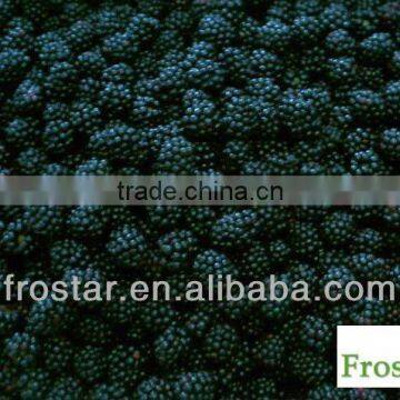 IQF frozen blackberry hull chester