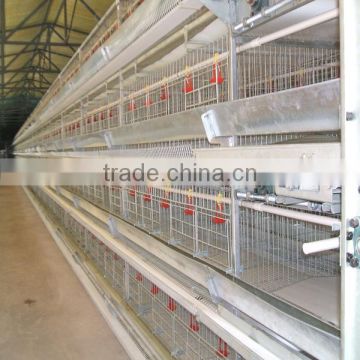 Hot Sale Design Layer Chicken Cages (professional factory)