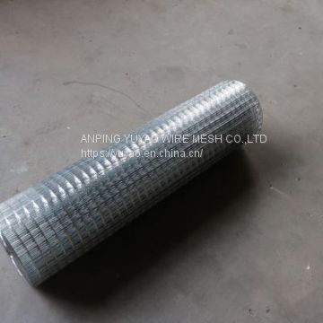 Cheap price anping pvc welded animal wire mesh
