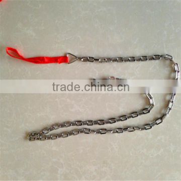 chromed dog chain