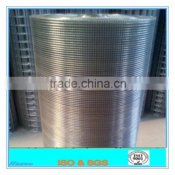 5*5 hot dipped galvanized welded wire mesh roll