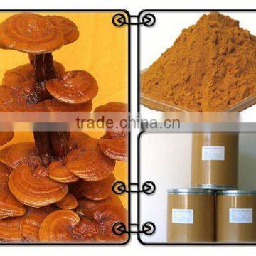 Organic ganoderma lucidum polysaccharide