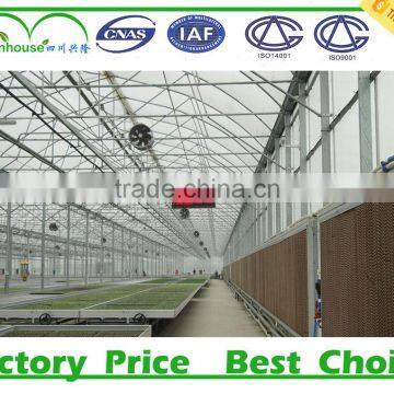 Commercial wrought iron greenhouse industrial for sale