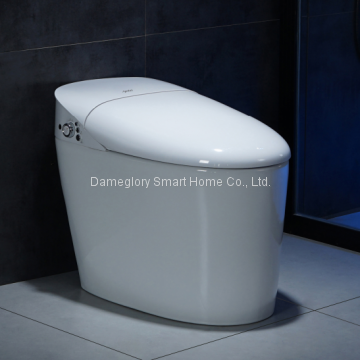 smart toilet K19028 three memories fit a family intelligent toilet hot selling model