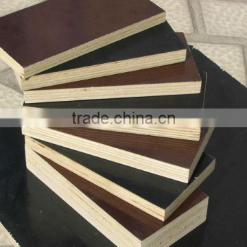 construction material plywood(shuttering plywood)