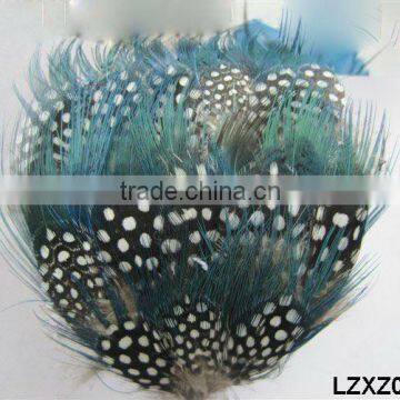 Guinea Fowl mixed feather pad LZXZ00590