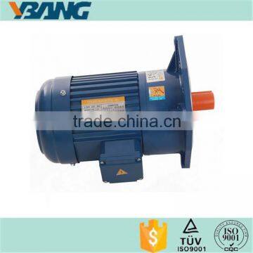 Low RPM IE 2 Efficiency Geared Motor 220v