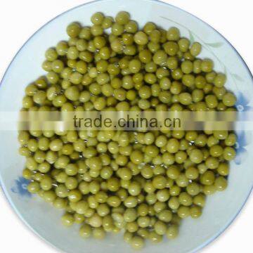 canned green peas with haccp certified products