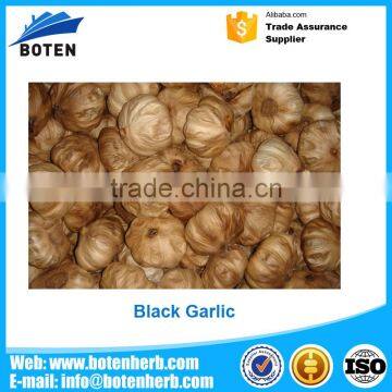 Custom logo Ferment black garlic health benefits Exported to Worldwide