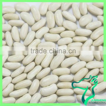 White Kidney Bean Diet Long Shape White