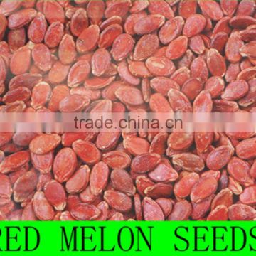 Seel Red /black Watermelon seed in low price with large order