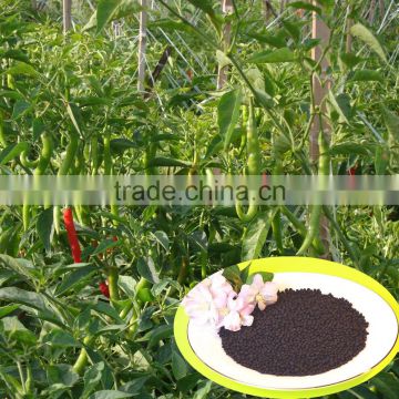 Bulk Humic Acid Npk Organic Fertilizer Prices