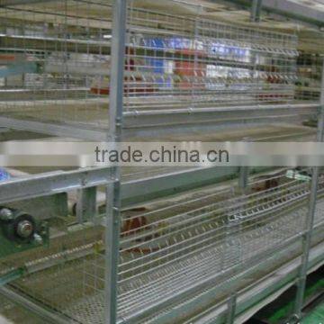 chicken laying cage