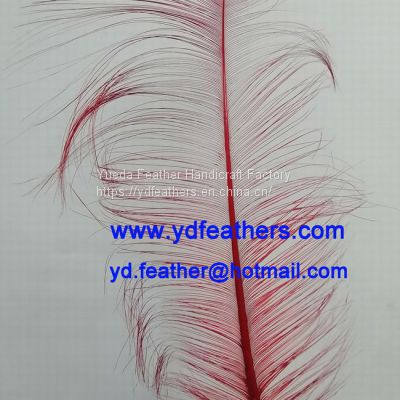 Burnt Ostrich Feather Dyed Red from China