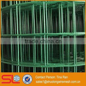 Hebei Shuolong supply 0.9mx18m 19 Gauge welded wire mesh with a green pvc plastic coated for bird cage netting