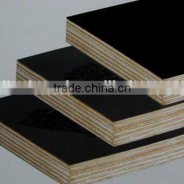 Black Waterproof Film Faced Plywood