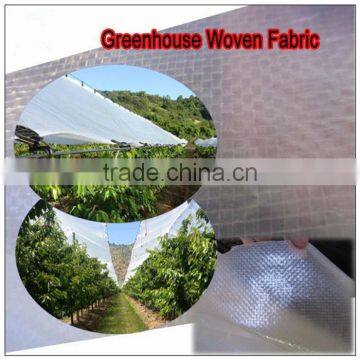 transparent polyethylene woven fabric waterproof PE Tarpaulin