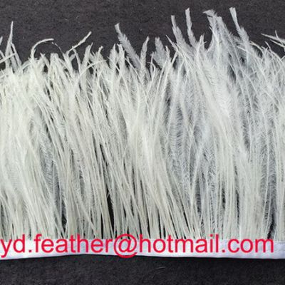 Ostrich Feather Fringe Sewn on Ribbon From China