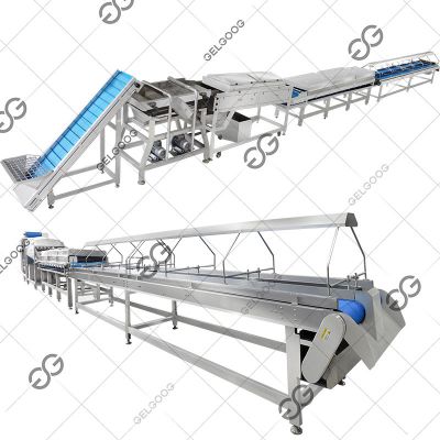 Dates plam cleaning and processing line