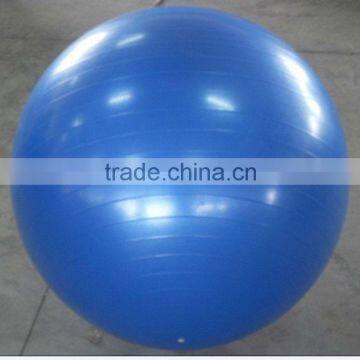 Gym Ball (yoga ball / fitness ball)