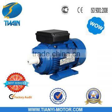 TIANYI Brand Hot Sale Single-phase Induction Motor (YL)