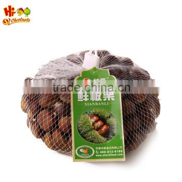 hot sale hebei new crop fresh chestnut nuts