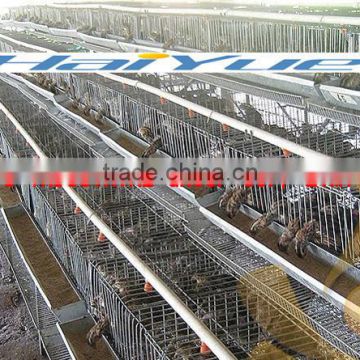 taiyu breeder quail cages for sale