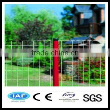 Wholesale China CE&ISO certificated white pvc coated welded wire mesh fence(Pro manufacturer)