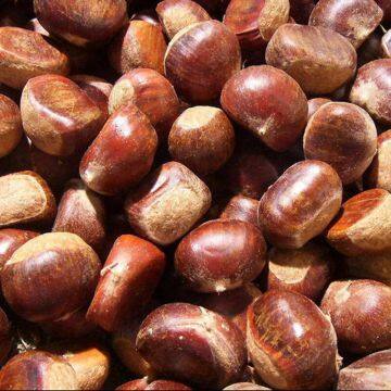 Natural Fresh Chinese Exports Fresh Delicious Chestnut Price Quality