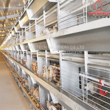 Mauritius Poultry Farm Equipment Battery Broiler Cage & Meat Chicken Cage & Chicken Coop in Broiler House