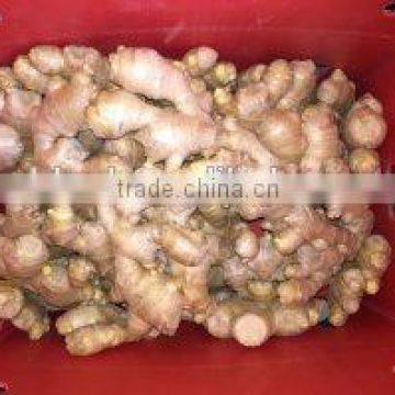 Natural Ginger Specification Air Dry Ginger