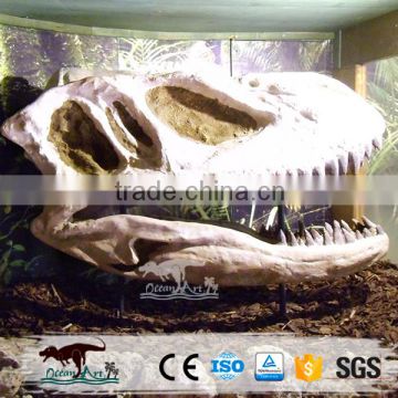 OA-SD-L86 Museum Dinosaur Head Skeleton Decoration