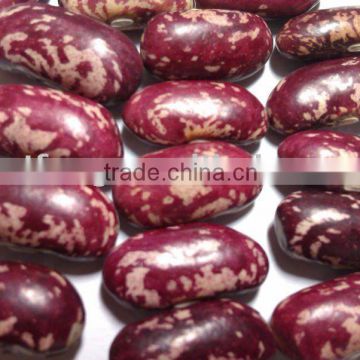 Purple Speckled Kidney Bean( 2011 crop, Heilongjiang Origin, Hps)