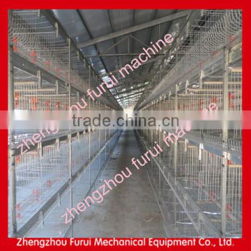 Durable automatic chicken layer cage/poultry farm automatic chicken layer cage