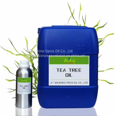 Wholesale bulk organic 100% pure natural tea tree essential oil for acne & hair