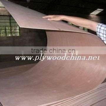 China Packing plywoods