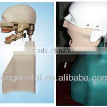 Hot Sale Senior type II Simulation Manikin