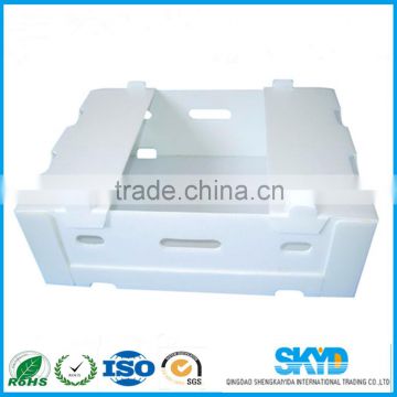 PP corrugated plastic box packaging fruits and vegetables