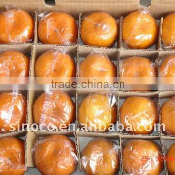 2011 Mandarin Oranges Fruit From China