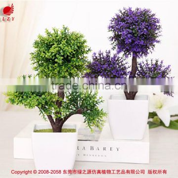 White potted evergreen plants table centerpiece tree