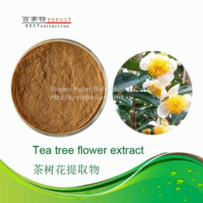 Pepsit Tea tree flower