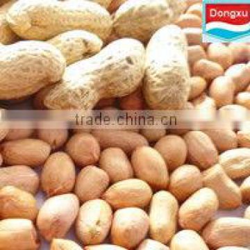 bulk Fair trade peanut kernels