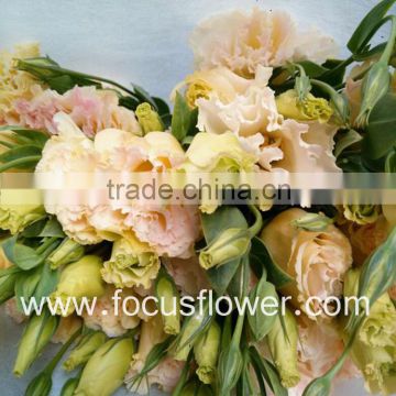 Real Touch Flowewrs Flower Eustoma Eustoma Wholesale From Yunnan
