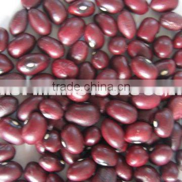 red kidney bean