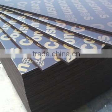 linyi factory black film faced plywood
