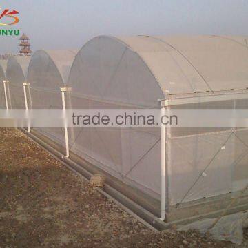 Multi-span film greenhouse for flower